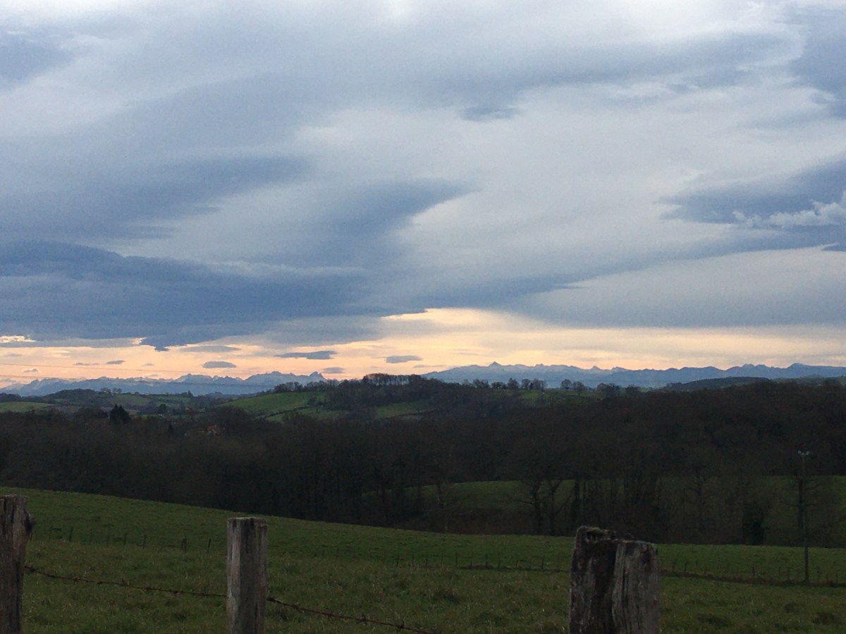 The day my walking needed&nbsp;fixing