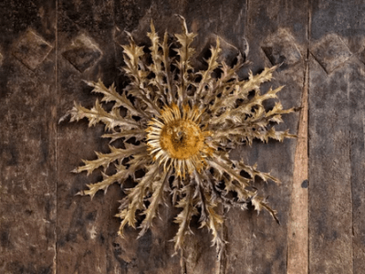 The Modern Witch-Studies Days February&nbsp;2026